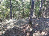 コナラ原木販売