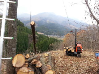 薪　原木　販売