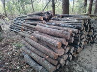 薪　原木　販売