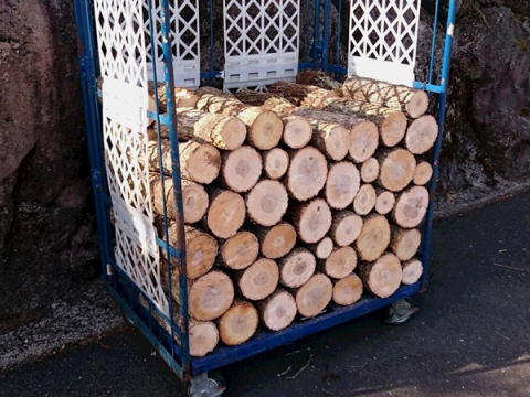 くぬぎ　薪　玉切り