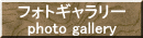 フォトギャラリー photo gallery