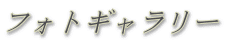 フォトギャラリー