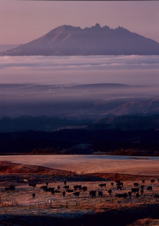 由布岳と湯布院